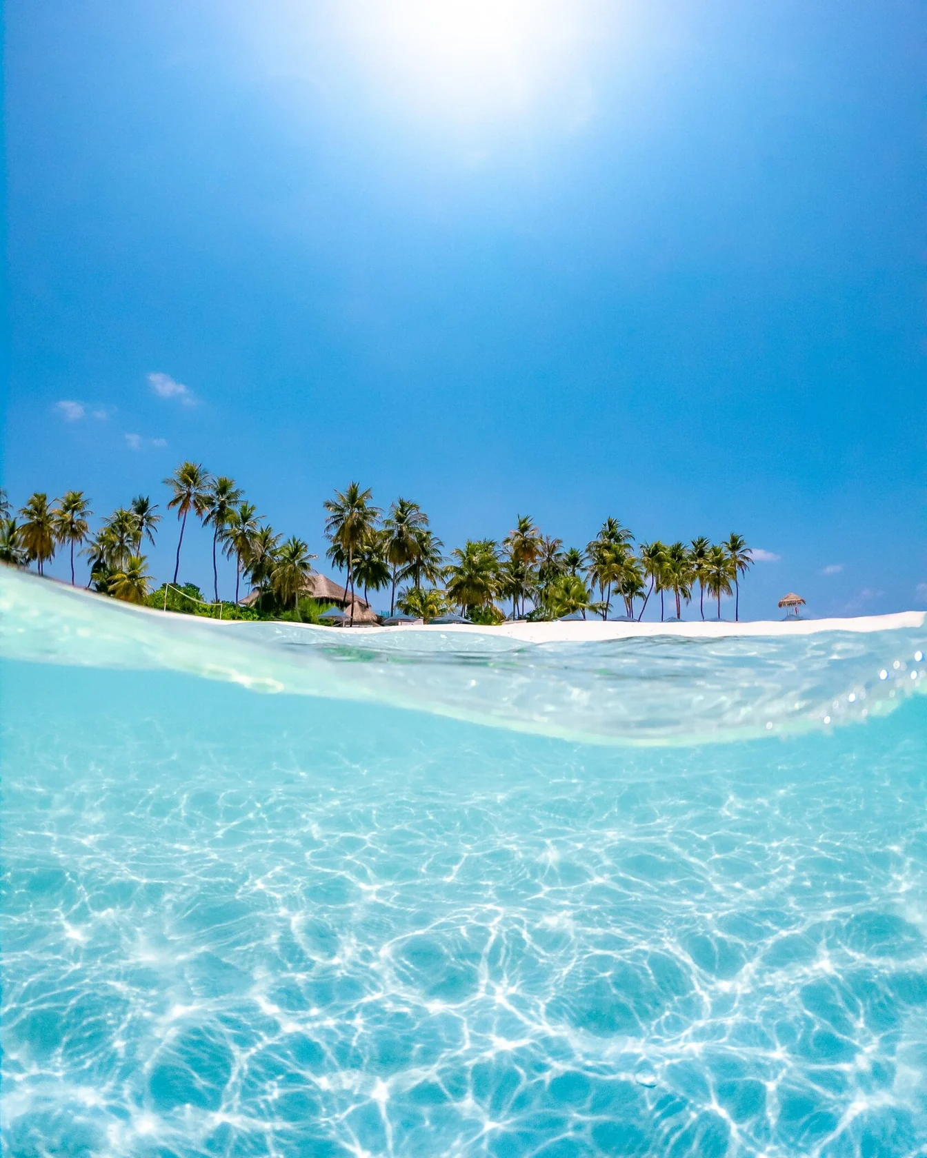 Clear lagoon water beside a palm-lined beach under blue skies