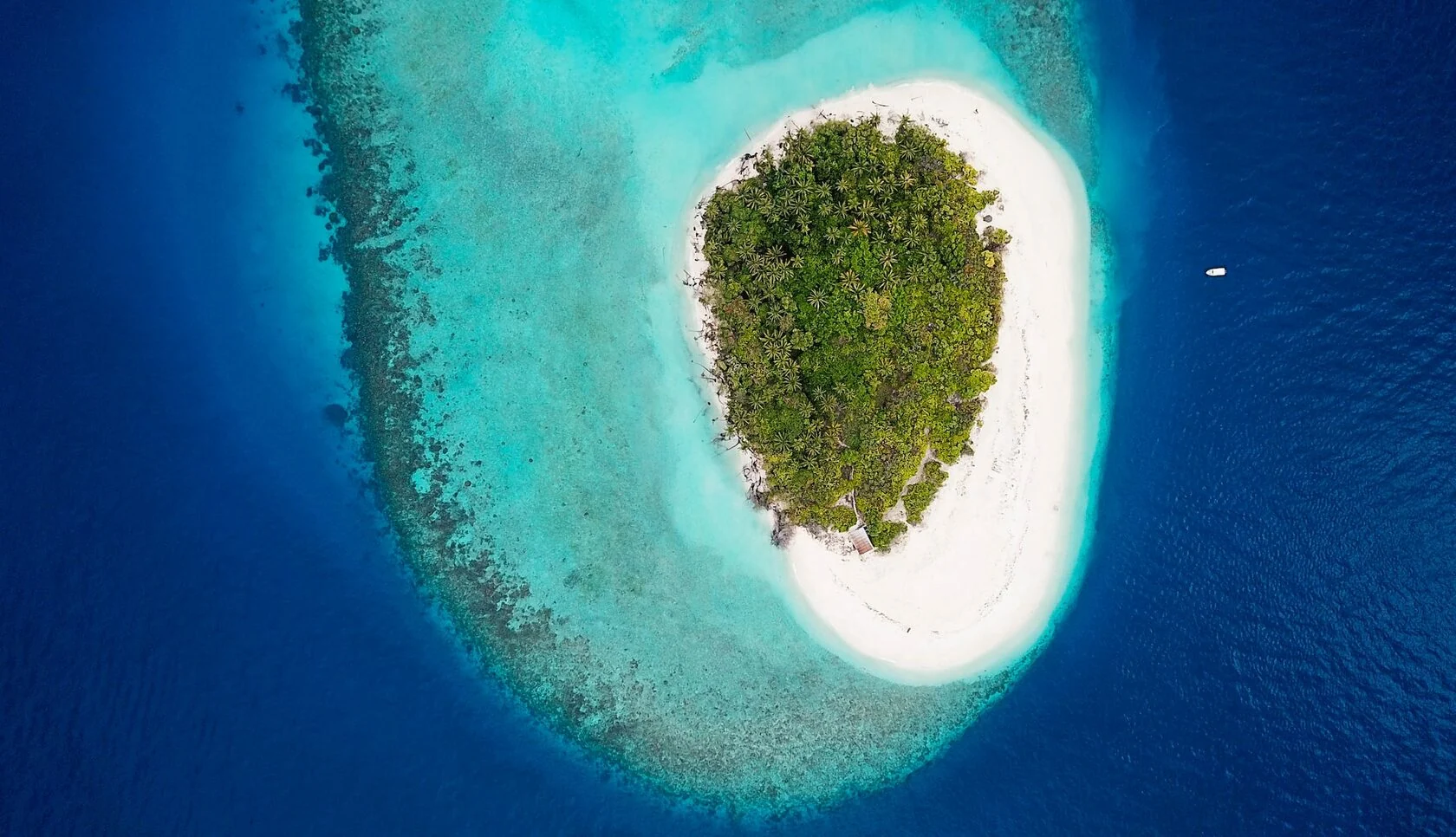 A palm-covered Maldivian island surrounded by white sand and turquoise reef